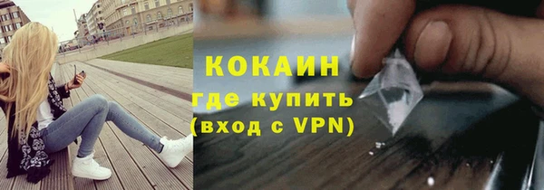 индика Баксан