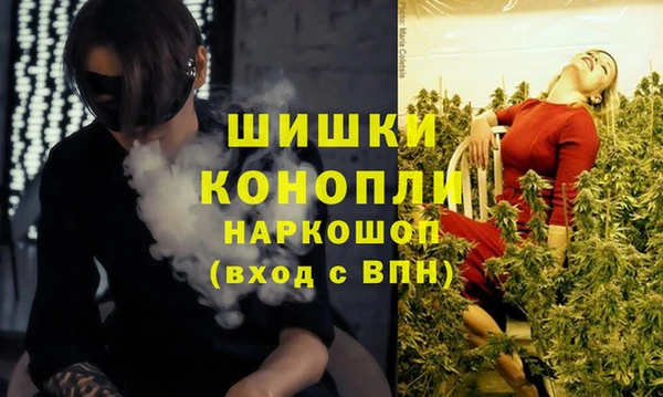 индика Баксан