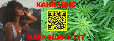 индика Обь