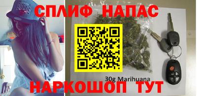 индика Обь