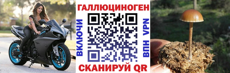Псилоцибиновые грибы Cubensis  закладки  Спасск-Дальний 
